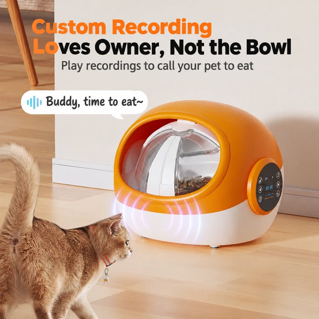 Ball Cat Food Feeder - Artículos HE